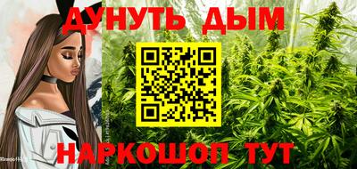 гидропоника Новодвинск
