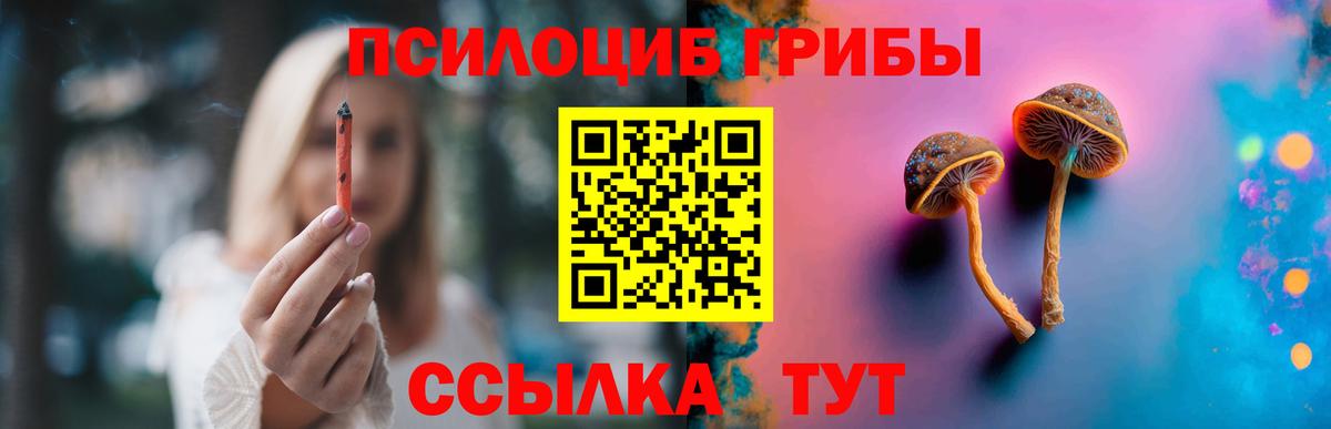 Псилоцибиновые грибы GOLDEN TEACHER Углич